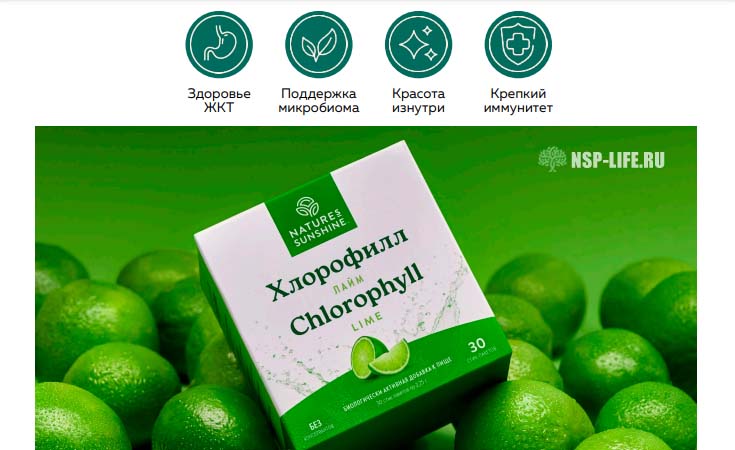 БАД Хлорофилл НСП в пакетиках со вскуом лайма. Для чего применяют. Польза. Отзывы. Где купить в Москве, СПб. Сайт NSP
