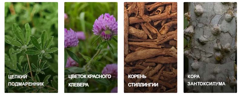 БАД Лимфатик Дренаж НСП. Для чего применяют. Польза. Состав. Отзывы. Где купить в Москве, СПб. Сайт NSP
