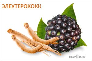 5 Эйч Ти Пи Пауэр НСП (5-HTP Power NSP) природный антидепрессант. Инструкция по применению. Где купить в Москве, СПб. Цена. Отзывы. Cайт NSP. Интернет-магазин