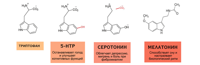 Витамины 5-HTP. Триптофан от стресса, депрессии, бессонницы, обжорства, бумилии. Где купить в Москве, СПб. Аптека НСП