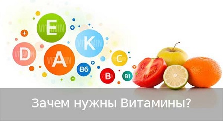 то такое Витамины и зачем они нужны. Где купить НСП в Москве, СПБ - Цена в аптеке. Сайт NSP