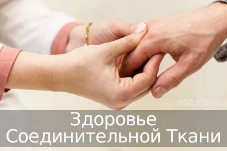 Программа НСП Здоровье соединительной ткани. Пролапс, рефлюкс, варикоз, дистония, миопия, растяжки, грыжи. Где купить БАД НСП при дисплазии в Москве, Санкт-Петербурге официально. Цена. Отзывы. Сайт NSP. Интернет-магазин