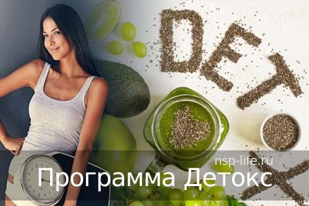 Программа НСП Детокс. Очищение кишечника. Где купить БАД НСП для детокса в Москве, Санкт-Петербурге официально. Цена. Отзывы. Сайт NSP. Интернет-магазин
