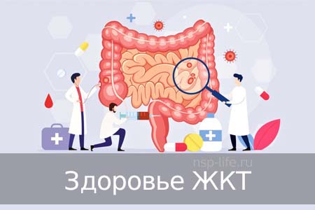 Пошаговый Алгоритм реабилитации ЖКТ, врач Антилевский. Как лечить кишечник в домашних условиях. БАД НСП для кишечника. Как применять. Где купить в Москве, Санкт-Петербурге официально. Цена. Отзывы. Сайт NSP. Интернет-магазин