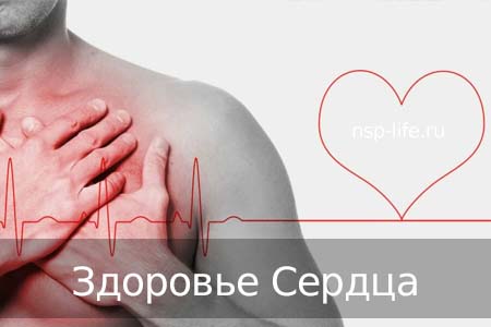 Программа НСП Здоровое сердце. Профилактика атеросклероза. Где купить БАД НСП для печени в Москве, Санкт-Петербурге официально. Цена. Отзывы. Сайт NSP. Интернет-магазин