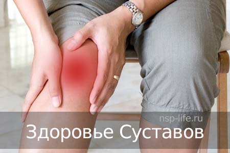 Болят суставы. Артрит, артроз, остеохондроз, грыжи и протрузии позвоночника. Как лечить суставы. Хондропротекторы NSP. Где купить в Москве, Санкт-Петербурге официально. Цена. Отзывы. Сайт NSP. Интернет-магазин