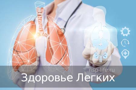 Программа НСП Здоровье дыхательной системы. Здоровые легкие. Где купить БАД НСП при бронхите, кашле в Москве, Санкт-Петербурге официально. Цена. Отзывы. Сайт NSP. Интернет-магазин