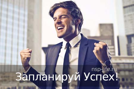 Программа НСП Запланируй успех. Где купить БАД НСП для повышения энергии, при хронической усталости в Москве, Санкт-Петербурге официально. Цена. Отзывы. Сайт NSP. Интернет-магазин