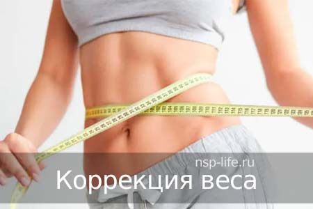Программа Коррекции веса. БАДы НСП для похудения. Как применять. Где купить в Москве, Санкт-Петербурге официально. Цена. Отзывы. Сайт NSP. Интернет-магазин